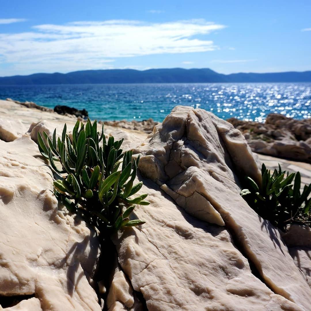 Apartment Lucille In Center Of Rabac Buitenkant foto