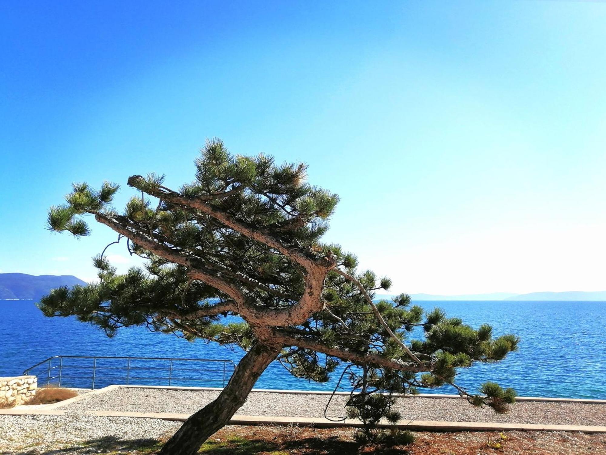 Apartment Lucille In Center Of Rabac Buitenkant foto